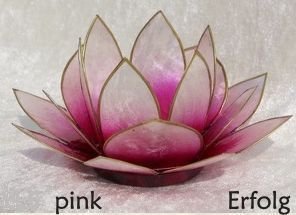 Lotus Licht groß pink