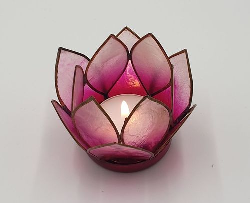 Lotus Licht klein pink