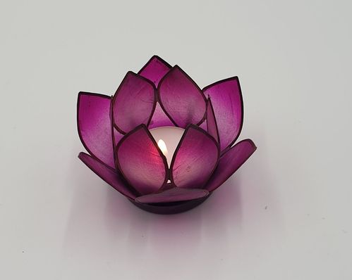 Lotus Licht klein lila