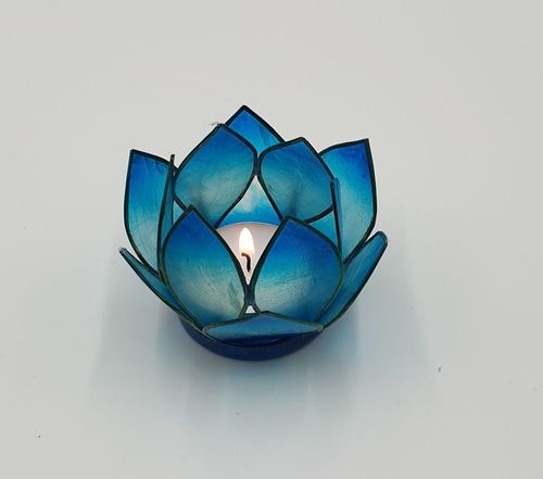 Lotus Licht klein blau